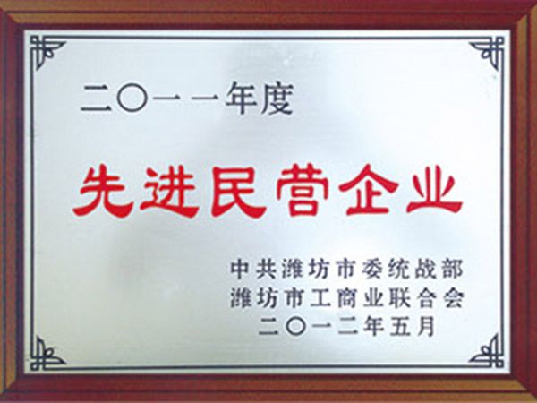 先進(jìn)民營企業(yè)